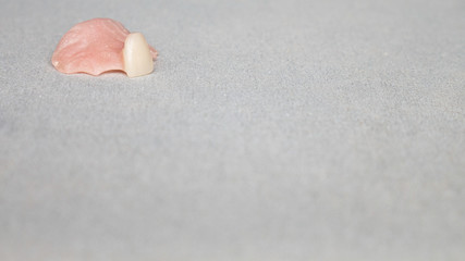 One false plastic tooth. Dental prosthetics on a background. Dental plates. Artificial teeth. Negative space. 