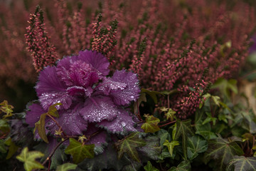 Decorative, autumn flowers for posa street
