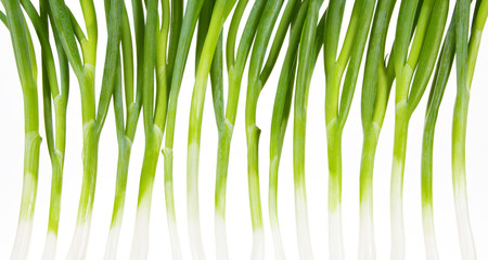 Fr&uuml;hlingszwiebeln