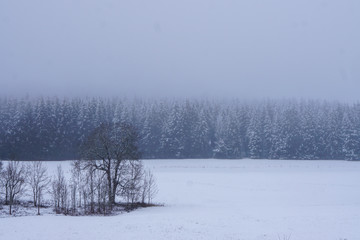 Winterlandschaft