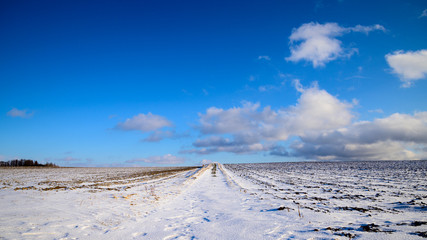 北海道の雪の畑と青空