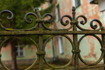 Wrought iron old fence covered with moss. It's a nasty day . The effect of adding grain.