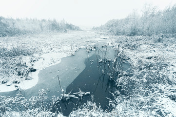 Snow covered marsh land. Wide angle shot