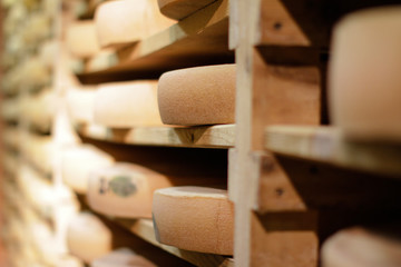 closeup of cheese crusts on traditional wood shelves in cellar
