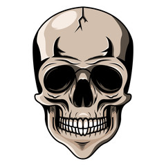 Skull head mascot logo desain