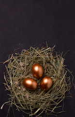 Easter eggs in a nest on a dark background. Vertical image. Copy space