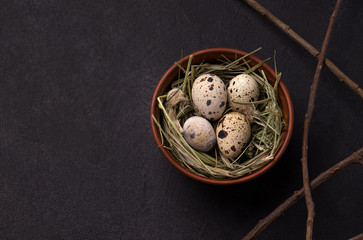 quail easter eggs on a black background in a clay bowl with hay and willow branches. There is a place for copy space.