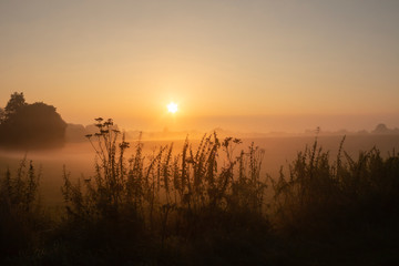 Mystischer Sonnenaufgang im Teufelsmoor - Worpswede bei Bremen