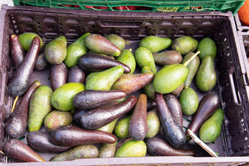 Fresh avocados stacked in basket at Municipal Market in Armacao de Pera in Portugal. Vegetables for sale at market in the Algarve. Selective focus.