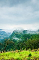 The mountain scenery in the mist in spring