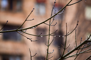 Gotas de lluvia