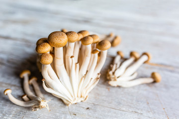Fresh brown Shimeji mushrooms on a wooden background.
