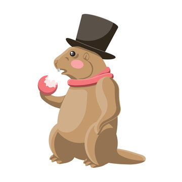 A Groundhog eats an Apple in a hat and scarf on a white isolated background. Vector image.