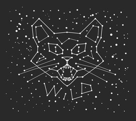 mystical constellation with cat, astrology vector illustration