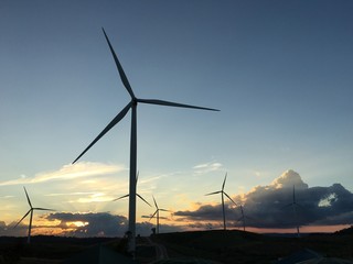 Windmills On Field Against Sky At Sunrise