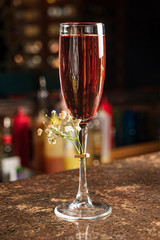 mexican cocktail in the bar