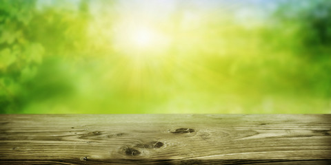 Abstract green sunny spring background