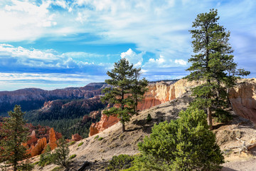 Panoramic View to the Nature of the Bryce Canyon National Park, USA