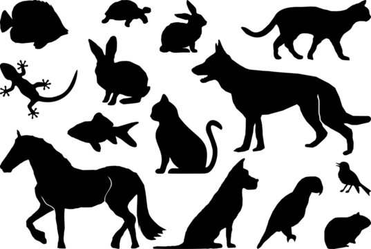 Animal Pets Set Silhouette Outline