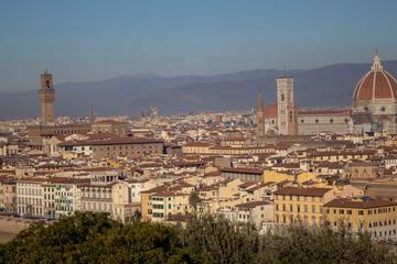 Fototapeta na wymiar Firenze 9