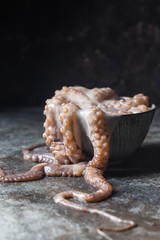 Fresh raw octopus in a bawl on dark stone background close up