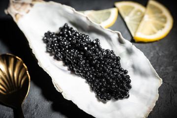 Opened oysters with black sturgeon caviar and lemon on ice on black concrete background. Top view, flat lay, copy space. - obrazy, fototapety, plakaty