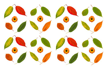Pattern of autumn leafs and flowers on white background. High detail. Can be used for wallpaper, pattern, art print, fabric etc.