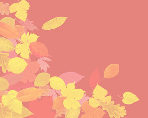  Floral  coral pink background of autumn leaves. Border frame of stylized fall leaves. High detail. Can be used for  wallpaper, promo poster, pattern, print, fabric etc.