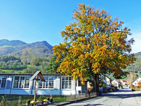 A village of R&uuml;thi SG (Ruthi SG or Ruethi SG) at the foot of a Alpstein mountain range and in the Rhine river valley (Rheintal) - Canton of St. Gallen, Switzerland
