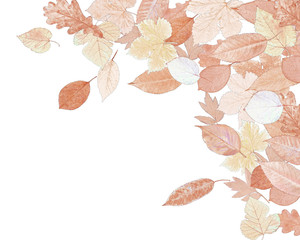Autumn composition of stylized fall on white background. High detail. Can be used for wallpaper, pattern, art print, fabric etc.