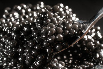 Black caviar on a spoon