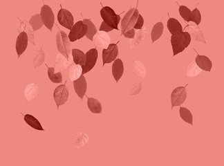  Coral pink background of autumn leaves. Border frame of stylized fall leaves. High detail. Can be used for  wallpaper, promo poster, pattern, print, fabric etc.