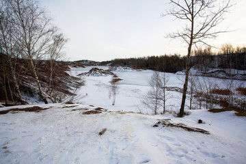 Beautiful winter landscape. Mountainous area. The cold beauty of winter nature. Textured tree with thin branches on a snow-covered plain. 
