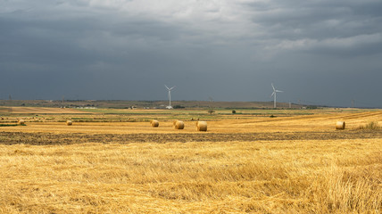 Rural landscape in Apulia at summer