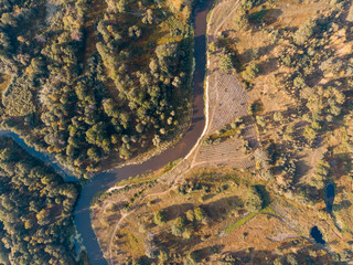Fototapeta na wymiar forest with a winding river on the landscape, bright sun, view from above