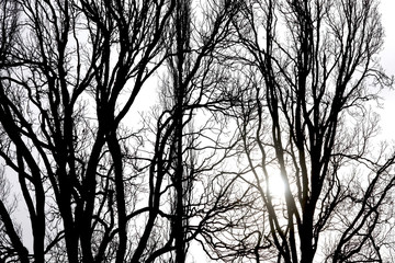 Wintersonne