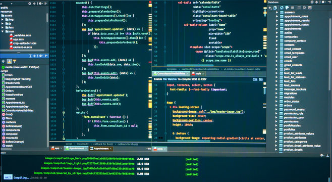 Вatabase structure, code structure, concole, logs, frontend, markup, Javascript source code for application development. Programmer workflow