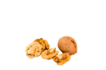 Walnut with kernel