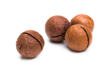 Shelled  macadamia nuts on white background