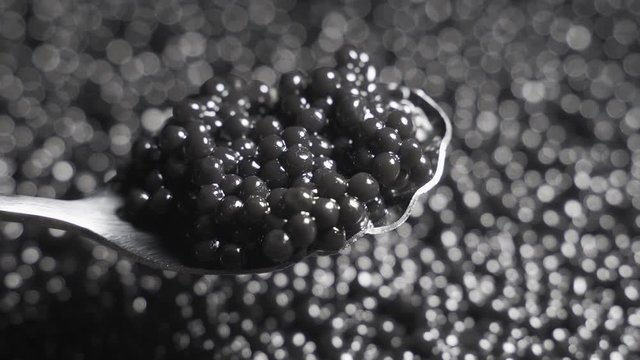 Black caviar in a spoon on a background of a rotating background