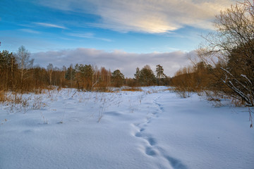 Fototapeta na wymiar Winter landscape at sunset by a snowy forest lake. Winter forest.