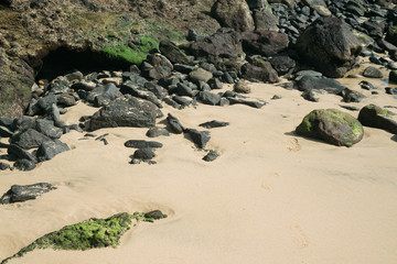 Rugged beach in Fuerteventura, Canary Islands