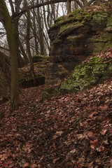 Tales from the thousand forest