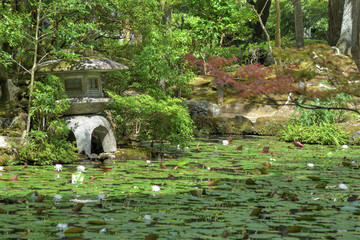 天授庵の池泉回遊式庭園