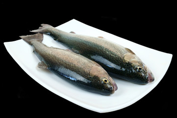 Two raw rainbow trout fish