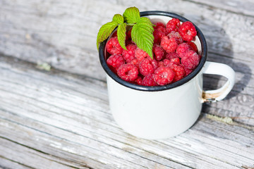 Red raspberries in white metal cup in summer day. Harvest. Eco food