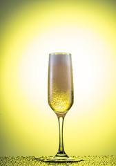 champagne glass with foam on a colored gradient background
