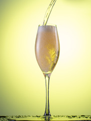 champagne glass with foam on a colored gradient background