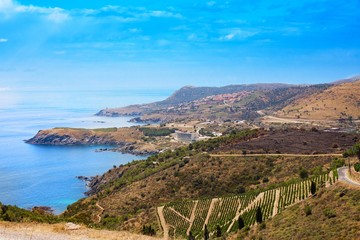 Fototapeta na wymiar Vineyard landscape near Banyuls sur Mer, Pyrenees Orientales, Roussillon, Vermilion coast, France