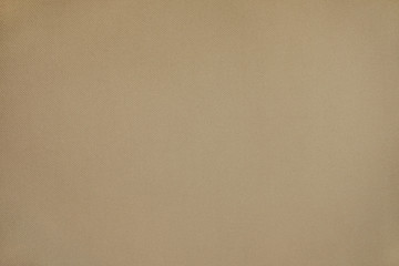 Beige velor texture. Horizontal close up.